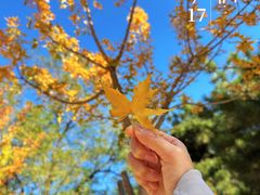 -北京西山国家森林公园