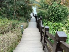 -桃花岭景区