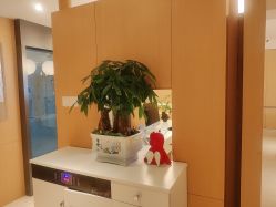 -Dr.林醫生产后修复·配方产康(南京江宁万达店)