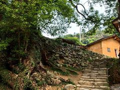 -杨家堂村