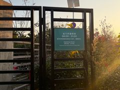 -青岛银沙滩温德姆至尊酒店