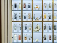 -阿五黄河大鲤鱼(纬三路店)