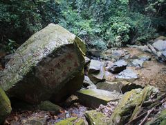 IMG_2506-鼎湖山风景区