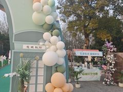 -合肥滨湖国家森林公园