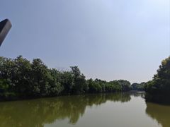 -大湾区中央湿地公园