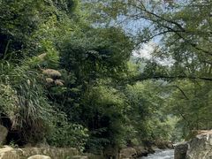 -雅鲁激流探险漂流