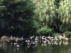 -九龙公园