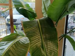 -宝视达眼镜(辉县瑞成广场店)