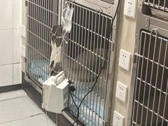 -半岛宠物医院24小时(科华中路店)
