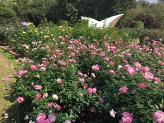 -人民公园(罗湖区)