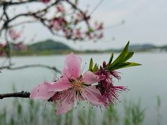 -南北湖风景区