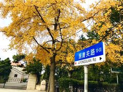-八大关景区