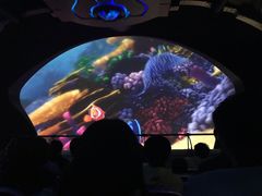 -海底巡游艇:尼莫和好友的海洋世界