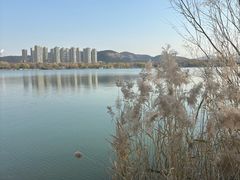 -济南国际园博园