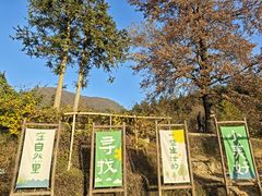 -塔川景区