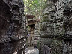 -梭布垭石林景区