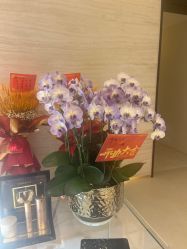-0 SPA科技美肤·Valmont法儿曼品牌