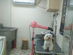 -乐琪宠物医院·犬猫专科·骨外科·急重症