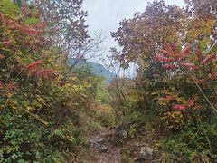 -云岫谷游猎自然风景区