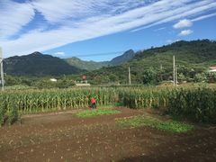 -瓦厂酒店