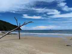 -西涌国际滨海旅游区