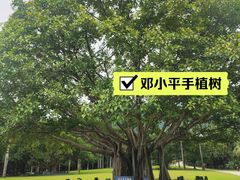 -深圳仙湖植物园