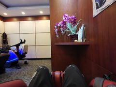 -哈尔滨龙晟雷克萨斯