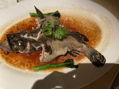 -顺峰(农展馆店)