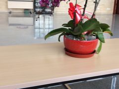 -北京国家会计学院