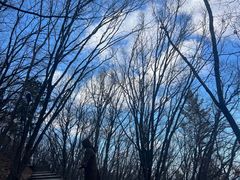 -帽儿山国家森林公园