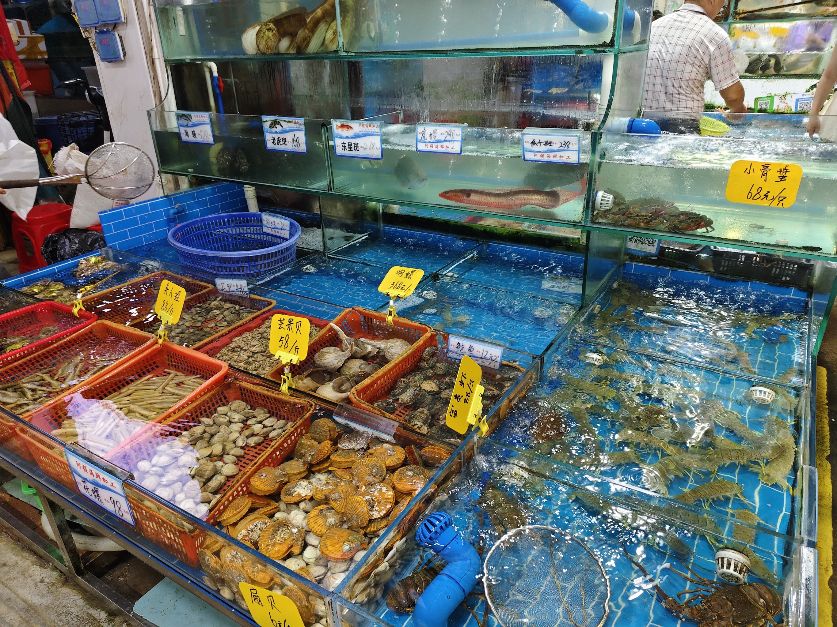 【超诱人必尝海鲜美味】八市阿强海鲜加工