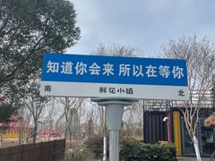 -南通鲜花小镇