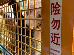 -野生动物园-停车场