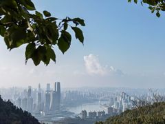 -涂山寺素食餐厅