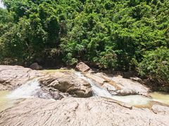 -广州白江湖森林公园