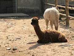 -西安秦岭野生动物园