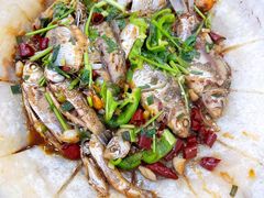 小杂鱼-魏四小鱼锅贴王