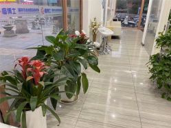 -悟空祛痘·亚健康皮肤管理中心