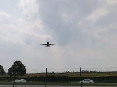 -空港花田景区