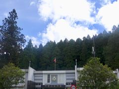 -阿里山神木遗迹