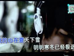 -温莎KTV(珠江路店)
