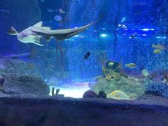 -沈阳海洋探索中心