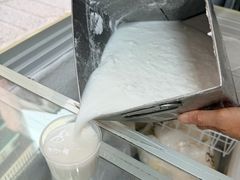 -洪馨椰子