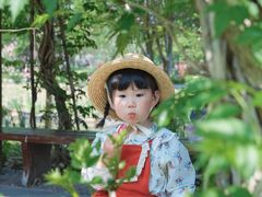 -鹅湖玫瑰文化园