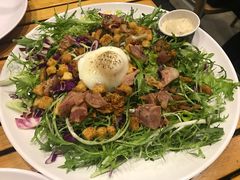 -Tubestation站点比萨(五道营店)