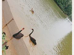 -艾溪湖湿地公园