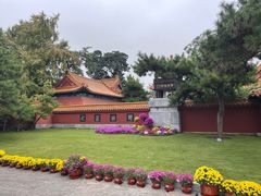 -戏马台景区