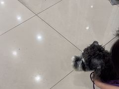 -艾贝尔宠物医院 ·中兽医·宠保定点(北门桥店)