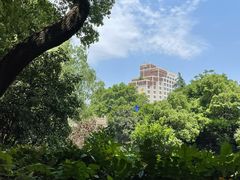 -素清香(解放路店)
