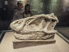 -自贡恐龙博物馆